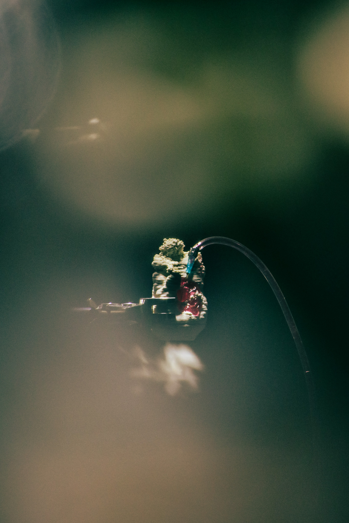 exhibition photography